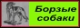 Породы борзых собак в Саратове, кинология в Саратове, Борзые собаки с родословной, стандарты борзых, уход и выращивание борзых собак, купить щека борзой собаки, тонкости ухода, болезни и ветеринарные услуги